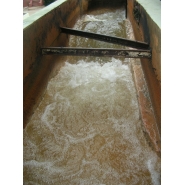 Visita a Aguas de Corrientes - 5to. Grado del Nivel Primario